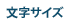 文字サイズ